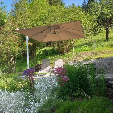 Les Fleurettes Apartment Les Diablerets Exterior photo